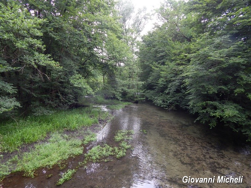 Parco del Ticino 13.6.15